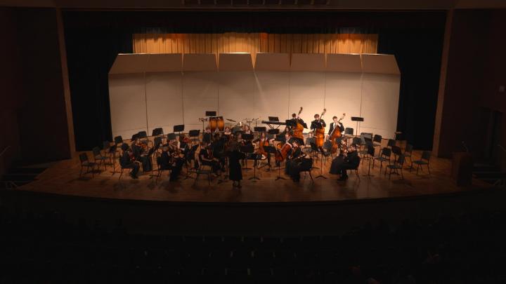 Thumbnail image for WHS Spring Orchestra Concert 2026